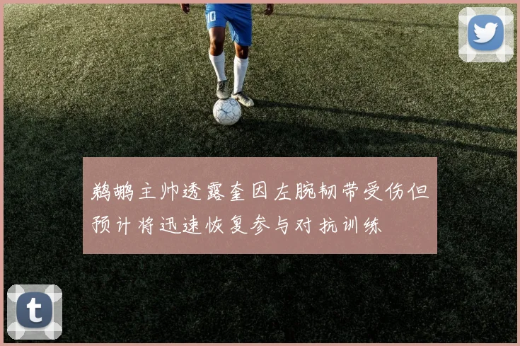 鹈鹕主帅透露奎因左腕韧带受伤但预计将迅速恢复参与对抗训练