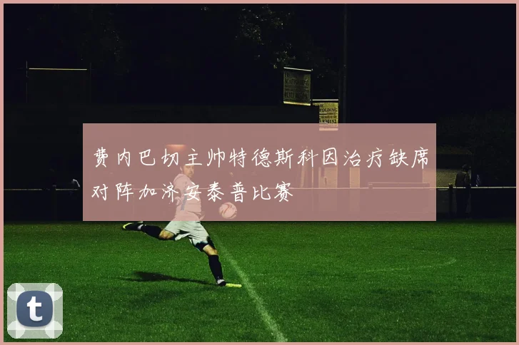 费内巴切主帅特德斯科因治疗缺席对阵加济安泰普比赛