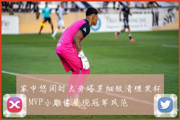家中悠闲时光劳塔罗细致清理奖杯与MVP小雕像展现冠军风范