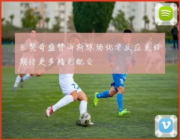 东契奇盛赞海斯球场化学反应良好期待更多精彩配合